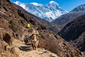 Cerca de pangboche en nepal