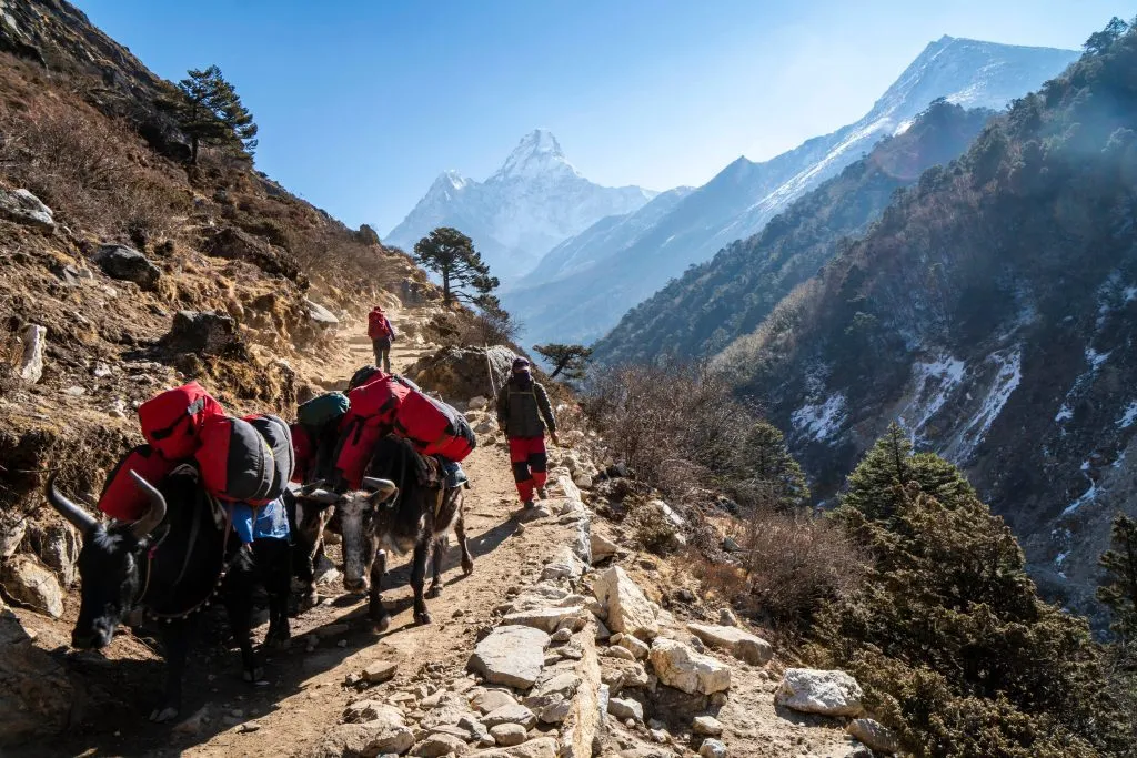 Trek do základního tábora Everestu
